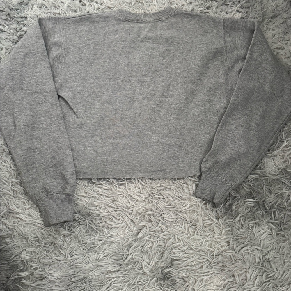 Gray RAD Cropped Sweatshirt (S) - Picture 5 of 5
